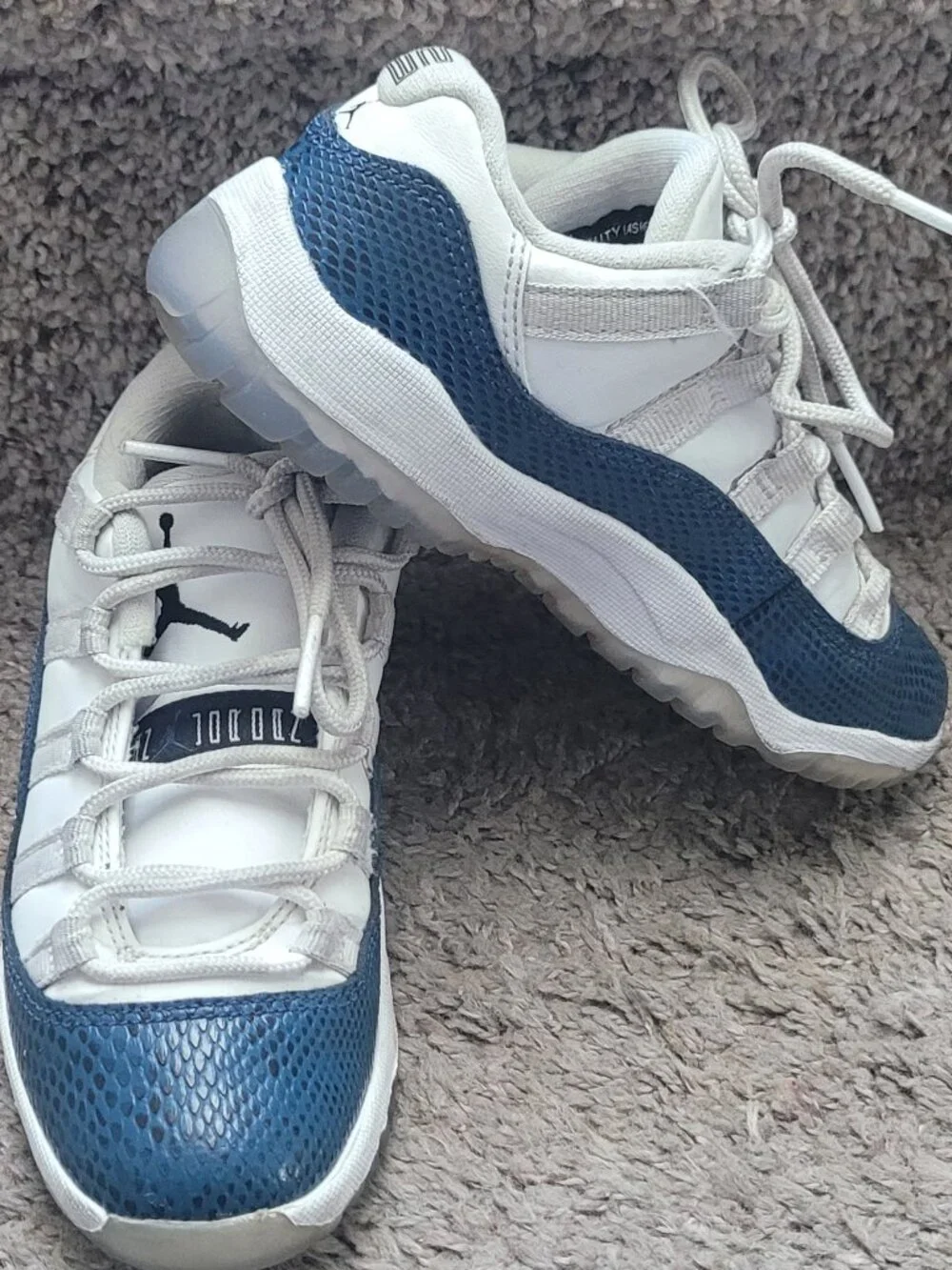 Jordan 11 snakeskin